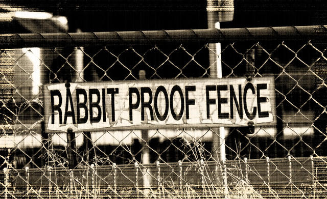 Rabbit proof fence journeys essay