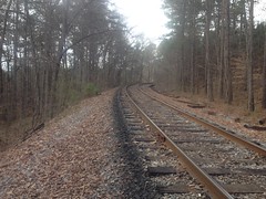 The Tracks 