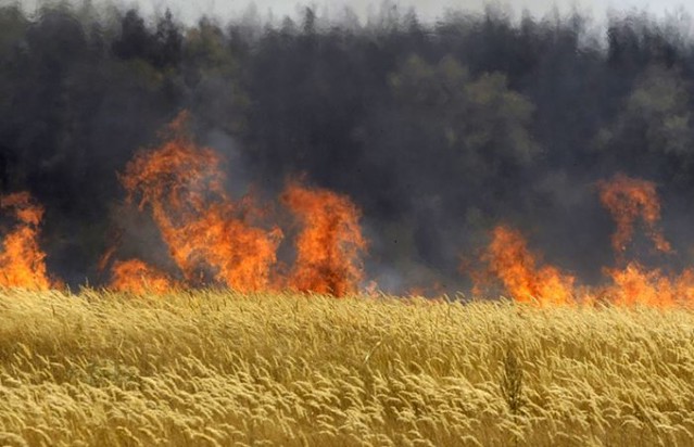 Hungary-Burns-Monsanto