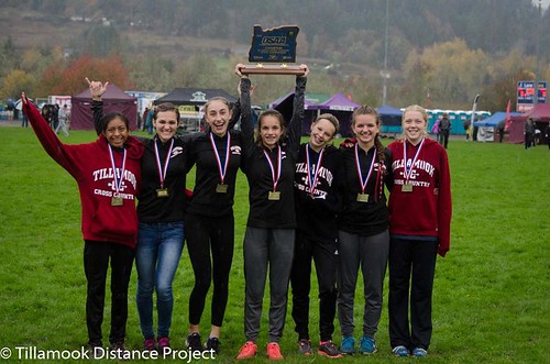 cross country state championships