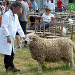 Lampeter Show 2014