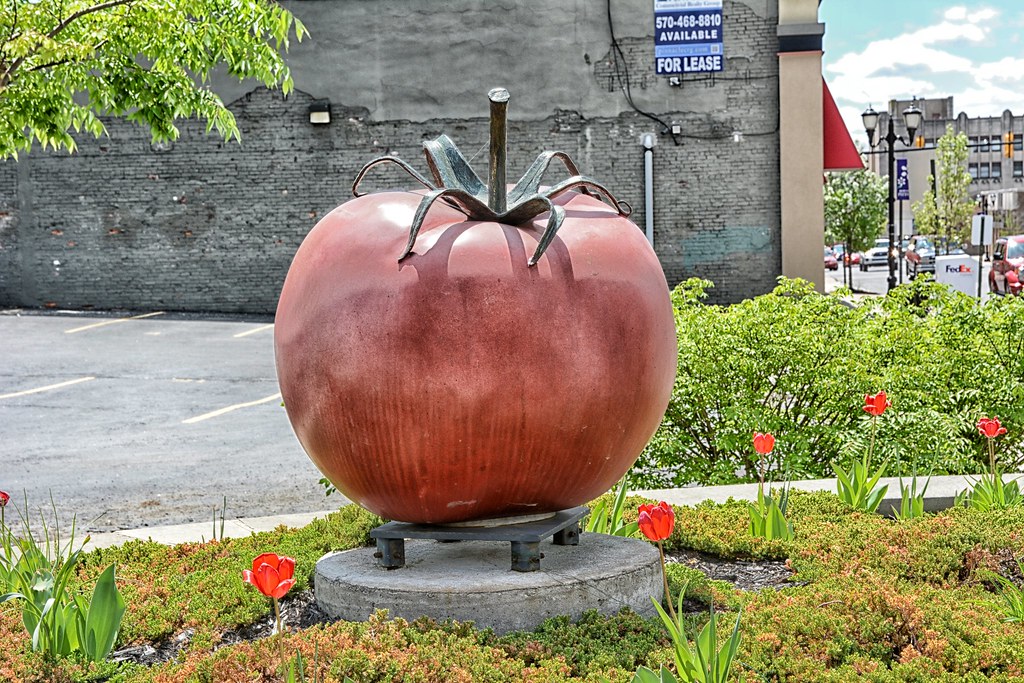 Tomato Capital of the World Statue