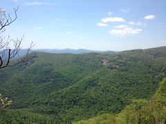 View from Granite Outcropping Along Whitley Gap Trail 