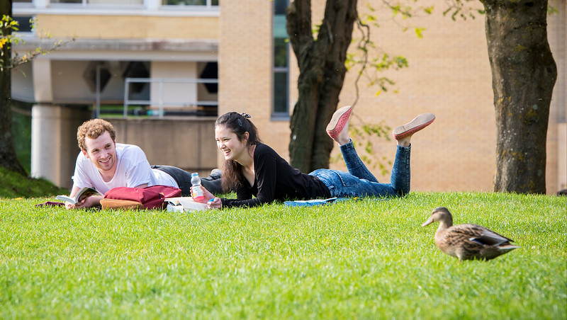 Two students reading on the grass