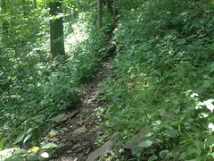 Freeman Trail 