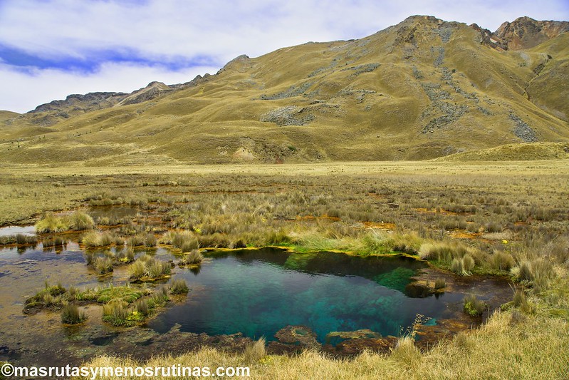 Por el norte de PERÚ. De los glaciares a la selva - Blogs de Peru - Excursión al Pastoruri, un glaciar lloroso. PN Huascarán (4)