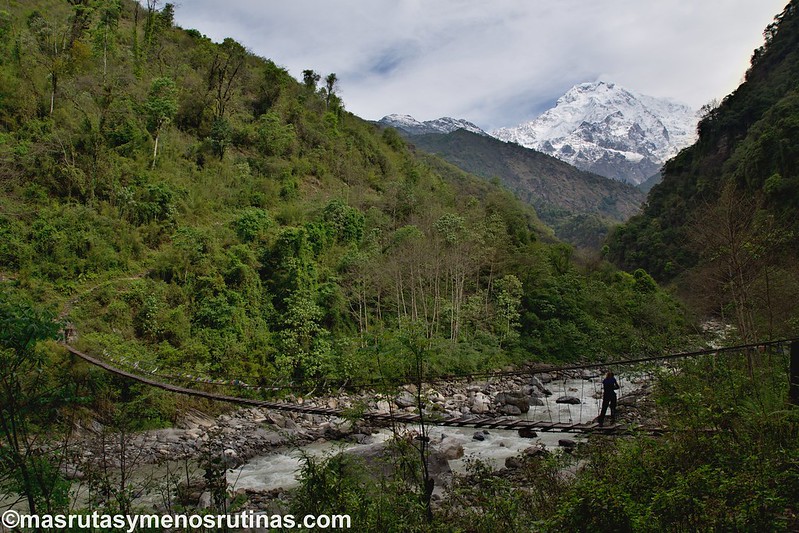 Trek ABC. De Jhinu (1750 m) a Pothana (2000 m) - NEPAL 2016. Trek al Annapurna Sanctuary (ABC) (8)