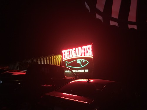 The Dead Fish neon lights