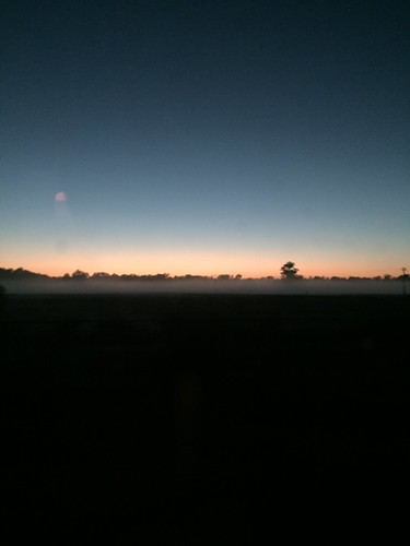Dawn, the train just passed the border of NSW and Victoria