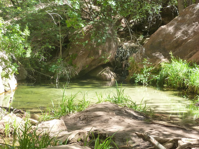 ZION N.P Weeping Rock. Emerald Pools. Canyon Overlook. VALLEY OF THE FIRE - En Ruta por los Parques de la Costa Oeste de Estados Unidos (23)