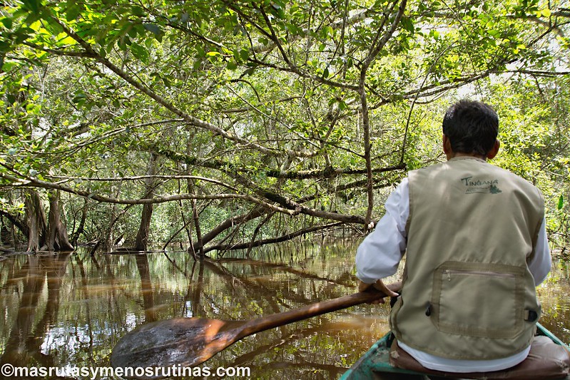 Tingana. Navegando en canoa entre melodías y aromas - Por el norte de PERÚ. De los glaciares a la selva (12)