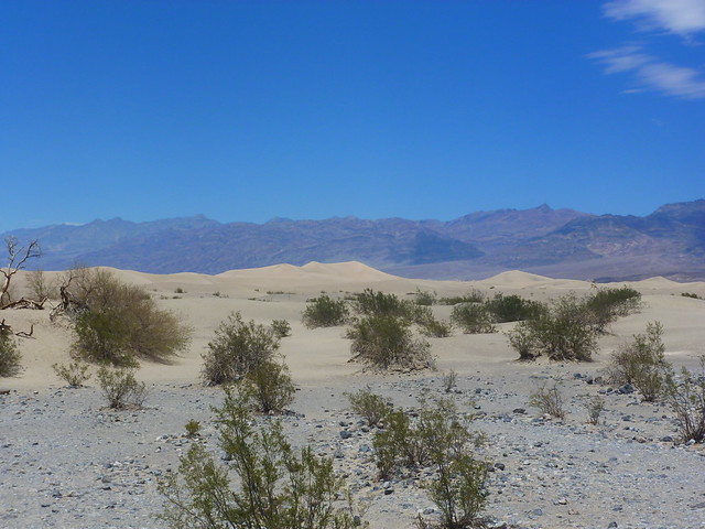 Death Valley N.P. Mammoth Lakes - En Ruta por los Parques de la Costa Oeste de Estados Unidos (27)