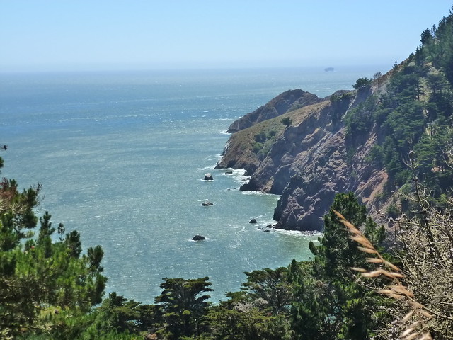 En Ruta por los Parques de la Costa Oeste de Estados Unidos - Blogs de USA - Caminando por Golden Gate, Presidio, Fisherman's Wharf. SAN FRANCISCO (31)