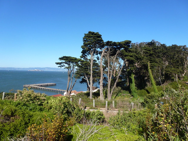 Caminando por Golden Gate, Presidio, Fisherman's Wharf. SAN FRANCISCO - En Ruta por los Parques de la Costa Oeste de Estados Unidos (41)