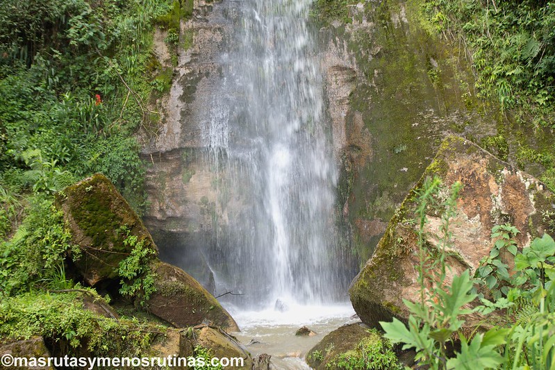Yumbilla. Cataratas en el bosque primario de Cuispes - Por el norte de PERÚ. De los glaciares a la selva (10)