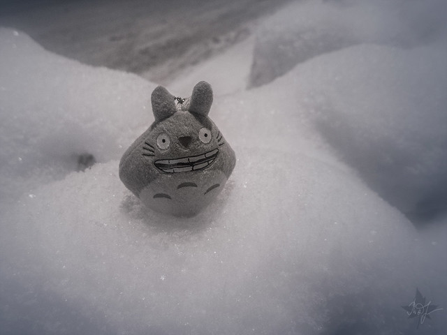 Day #351: anyhow totoro loves snow