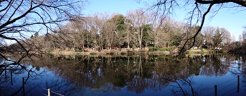 Inokashira park 10