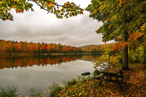 Autumn reflections on Lake Plumbago