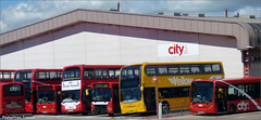 Citybus Assortment