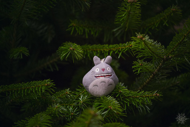 Day #358: totoro chooses the Christmas tree