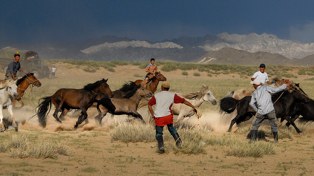 Mongolian Horse Roping