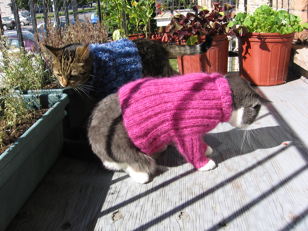 Cat sweater | A free knitting pattern on my website www ...