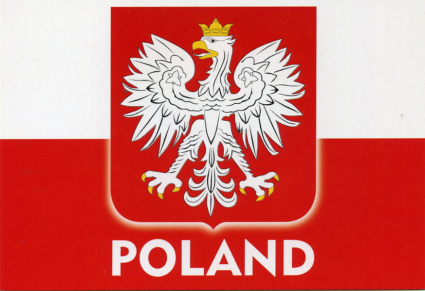 Image result for polish flag