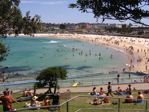Bondi Beach View