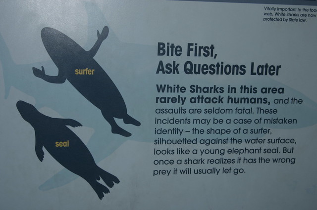 What Does A Shark Bite Feel Like