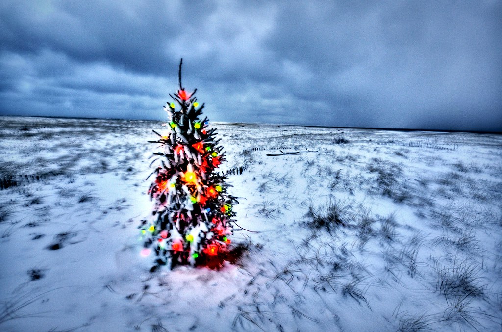 Cape Cod Beach Christmas Tree (HDR) Chatham's Lighthouse B… Flickr