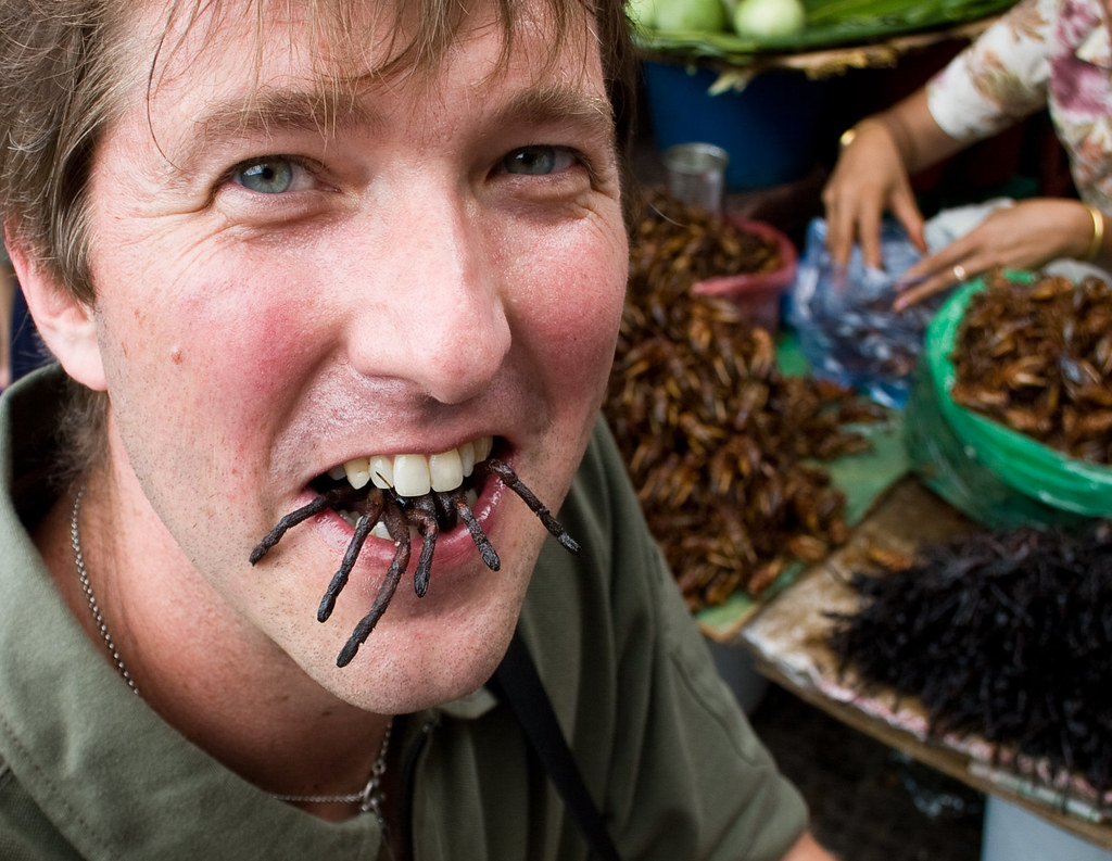 Eating spiders in Cambodia. Gimmick or gourmet? | Intrepid 