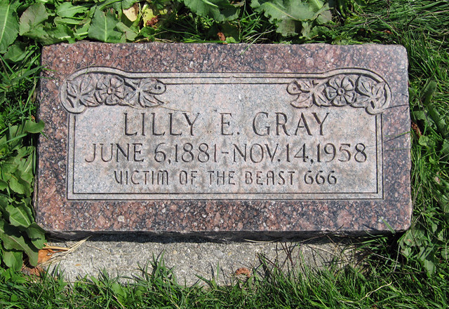 lilly-grey