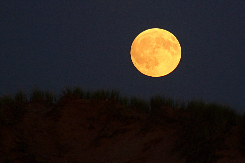 Почему луна низко. Оранжевая Луна 2023. Желтая Луна. Полная желтая Луна. Фото Луны.