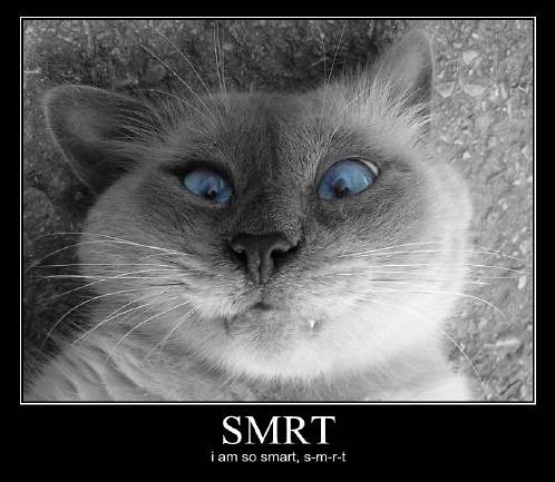 I am so SMRT | Flickr - Photo Sharing!