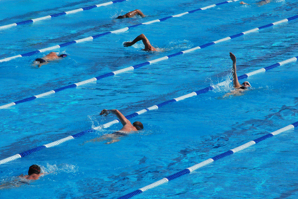 Swimming Lanes | Swimmers do laps at an outdoor pool near Wo… | Flickr