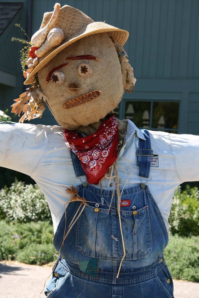 Sad Scarecrow | Entry Display to the rest of the Scarecrows … | Flickr