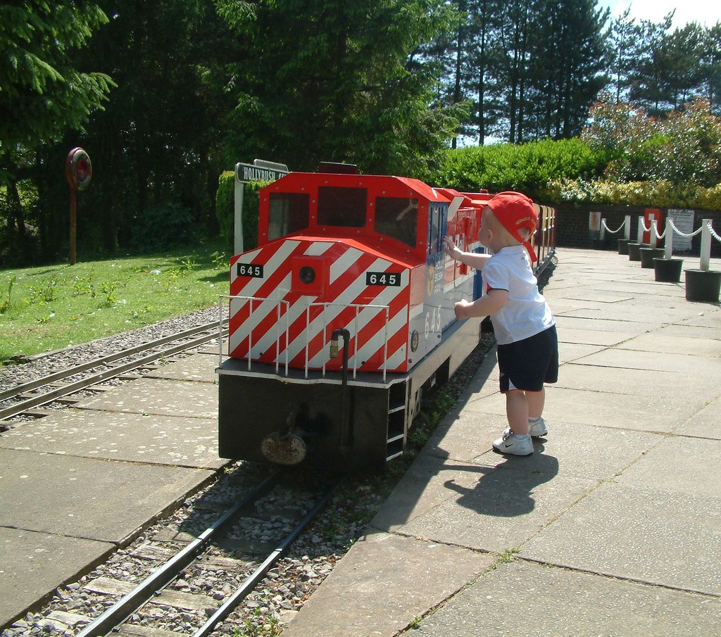 Backyard Trains You Can Ride For Sale Outdoor Goods