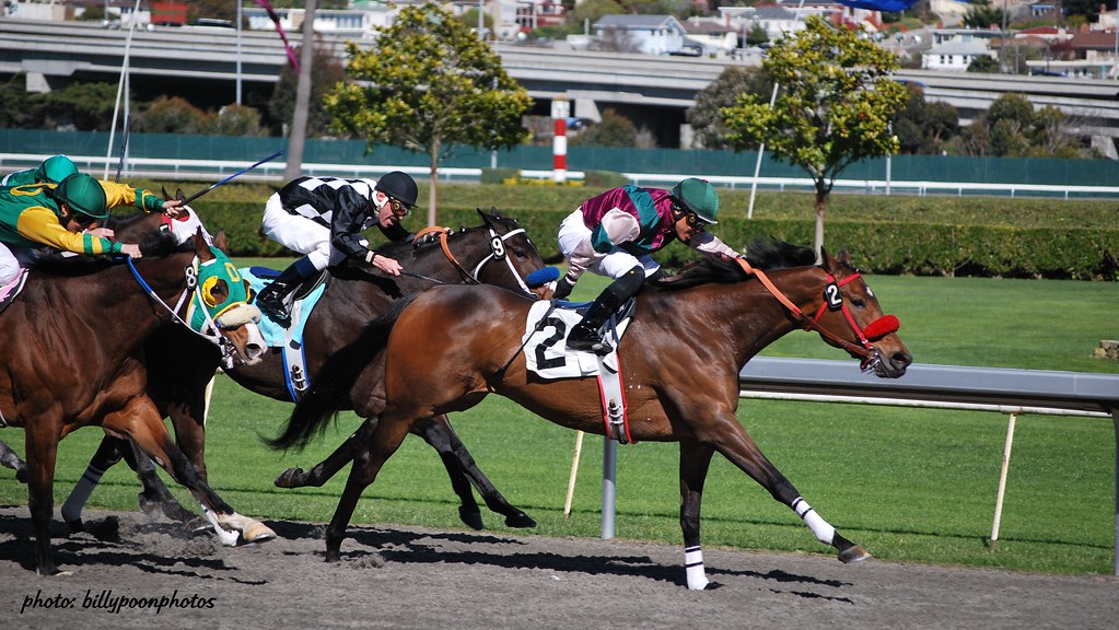 Photo Horse Racing Golden Gate Fields Down the stretch the… Flickr