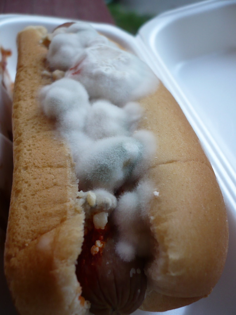 Moldy Hot Dog | Zach Tirrell | Flickr