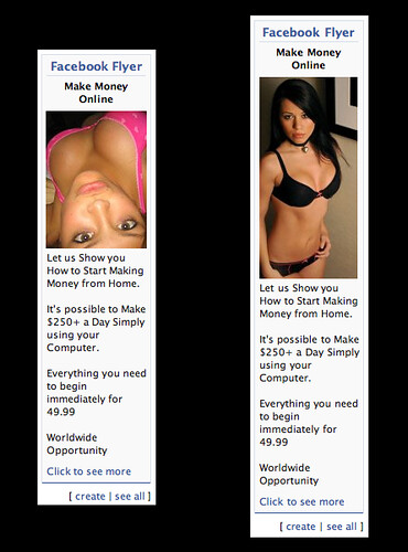 Facebook Porn  The Neo-Con Relgious Right Wing-Inspired Mpa  Flickr-9658