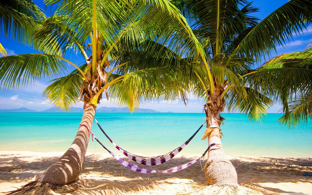 tropical-beach-pictures-hammock-wallpaper-for-android | Flickr