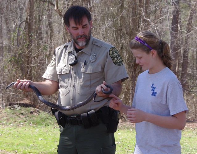 Ranger Brad with a harmless black snake at York River State Park in Virginia