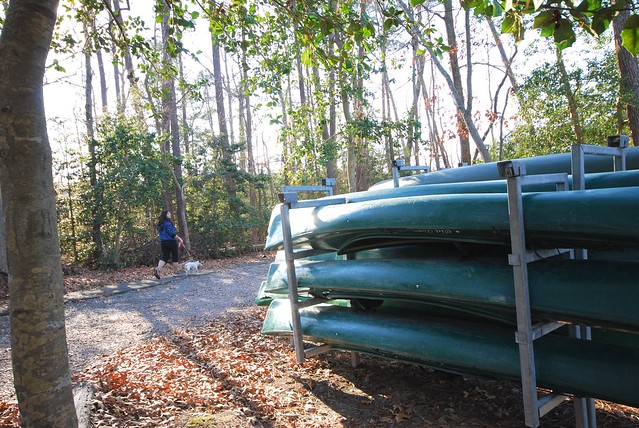It was winter time when we visited Belle Isle State Bark, so we didn't do any paddling