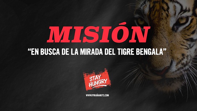 Misión: En busca de la mirada del tigre de Bengala (Comando Piraña)