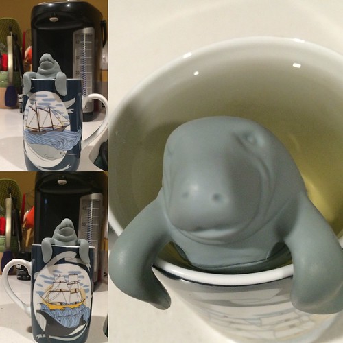 Three photos in one: Upper left is a manatee hanging in a tea cup showing a narwhal, lower left is the same manatee over a humpback whale, and the right is a close up of the manatee's face peeking out of green tea.