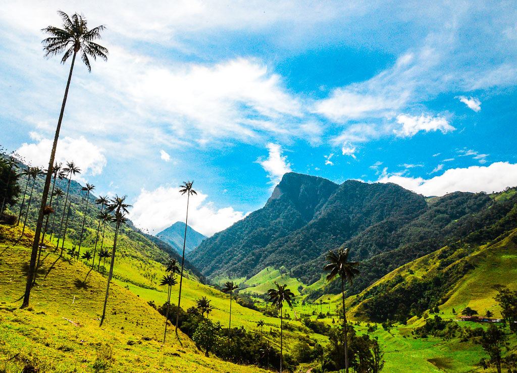 Acompanantes Colombia