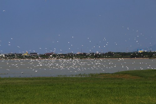 墾丁知名的遊憩據點龍鑾潭每年吸引數萬遊客前來賞鳥。攝影：廖靜蕙