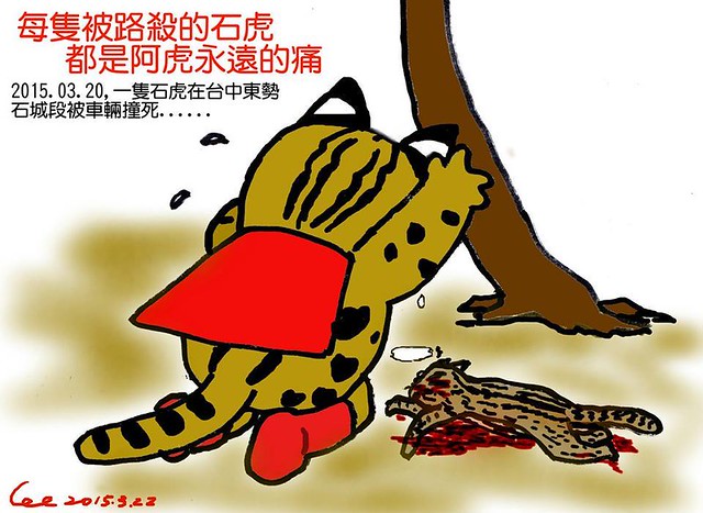 每隻被路殺的石虎都提醒台灣禁不起再一次痛失珍稀物種的事實！「石虎保育大使 阿虎加油」授權提供