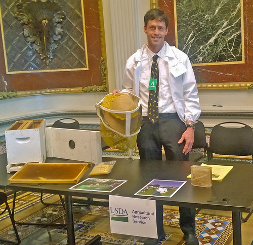 Entomologist Jay Evans, ARS Bee Research Lab, setting up a table of bee wax and bee-working tools at the White House Day at the Lab