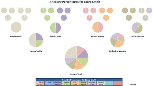 Ancestry Pie: Part Deux